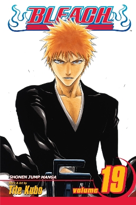 Bleach, Vol. 19 book