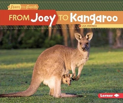 From Joey to Kangaroo book