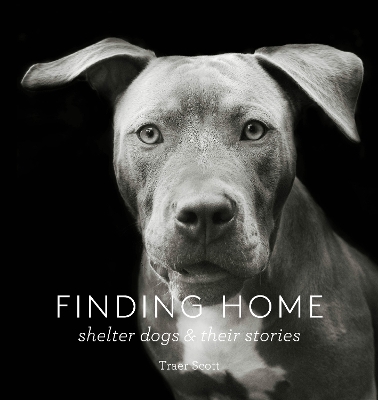 Finding Home book