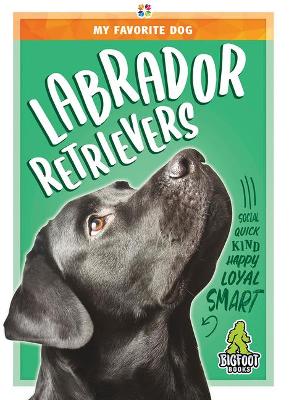 Labrador Retrievers book