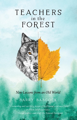 Teachers in the Forest: New Lessons from an Old World book