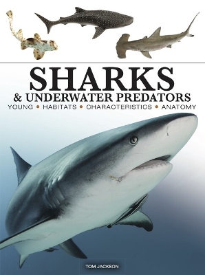 Sharks & Underwater Predators book