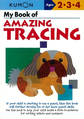 My Book Of Amazing Tracing book