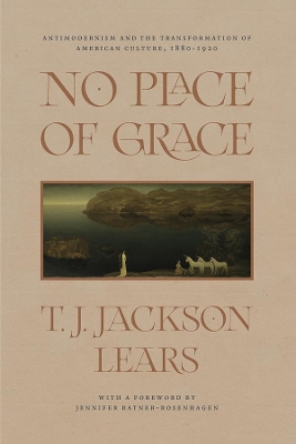 No Place of Grace: Antimodernism and the Transformation of American Culture, 1880-1920 book