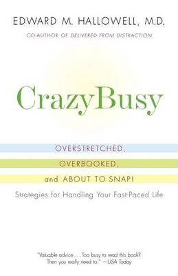 Crazybusy book