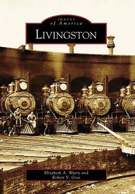 Livingston by Elizabeth A. Watry