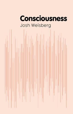 Consciousness by Josh Weisberg