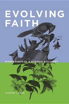 Evolving Faith book