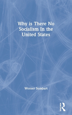 Why is There No Socialism In the United States book