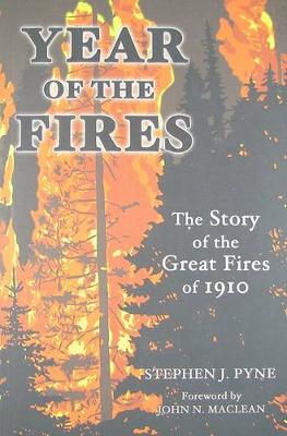 Year of the Fire book