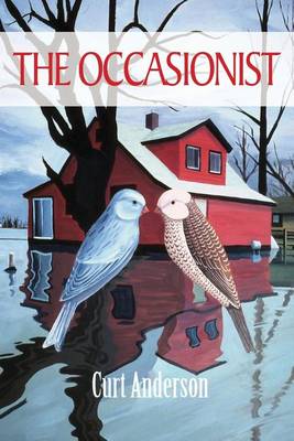 The Occasionist book