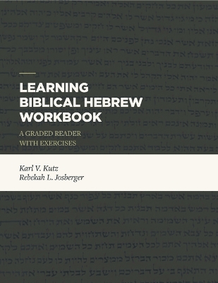 Learning Biblical Hebrew Workbook book