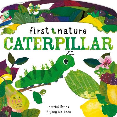 Caterpillar book