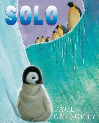 Solo book