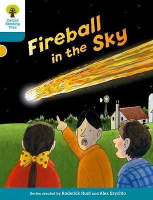 Oxford Reading Tree Biff, Chip and Kipper Stories Decode and Develop: Level 9: Fireball in the Sky book