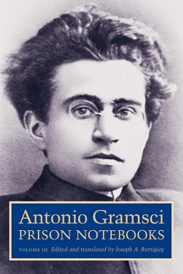 Prison Notebooks: Volume 3 by Antonio Gramsci