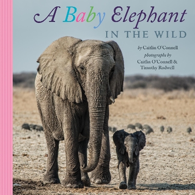 Baby Elephant in the Wild book