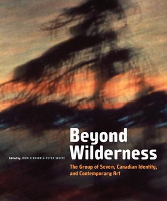 Beyond Wilderness book