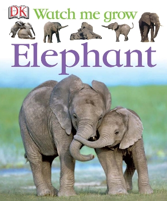 Elephant book