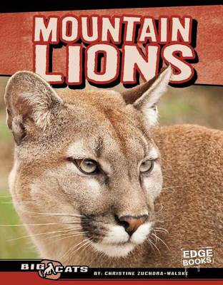 Mountain Lions book