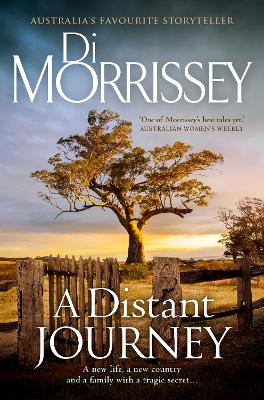 Distant Journey book