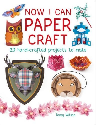 Now I Can Paper Craft book