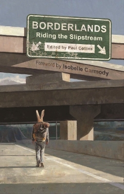 Borderlands Riding the Slipstream book