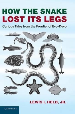 How the Snake Lost its Legs book