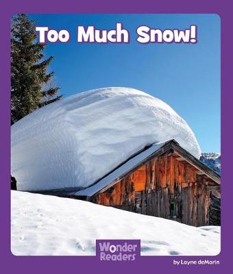 Too Much Snow book