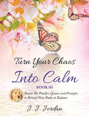 Turn Your Chaos Into Calm by J J Jordan