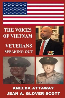 The Voices of Vietnam, Veterans Speaking Out book