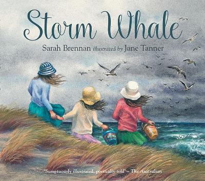 Storm Whale by Sarah Brennan