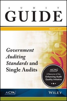 Audit Guide book