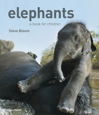 Elephants: A Book for Children by Steve Bloom