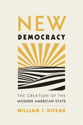 New Democracy: The Creation of the Modern American State book