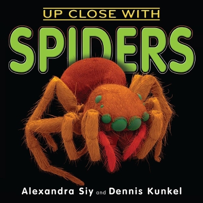 Up Close With Spiders book