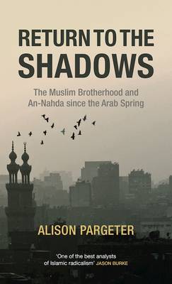 Return to the Shadows: The Muslim Brotherhood and an-Nahda Since the Arab Spring book