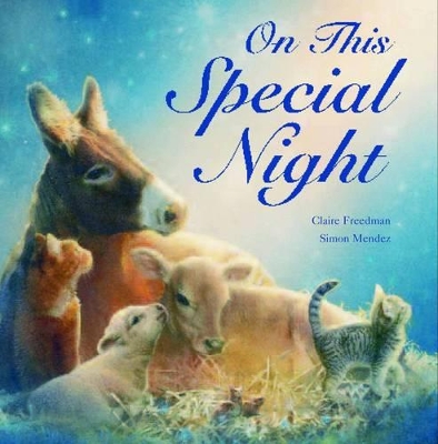 On this Special Night by Claire Freedman