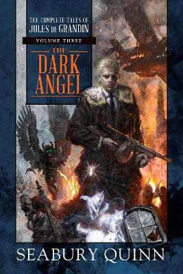 Dark Angel book