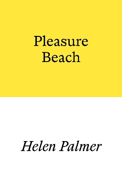 Pleasure Beach book