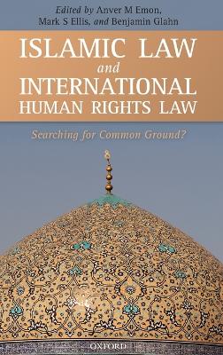 Islamic Law and International Human Rights Law book