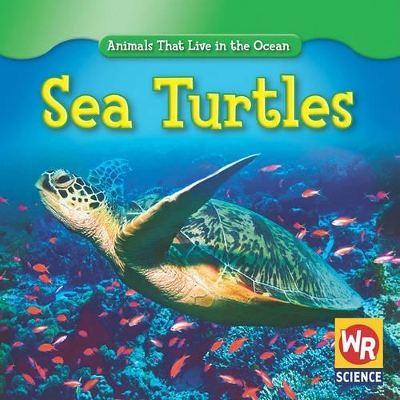 Sea Turtles book