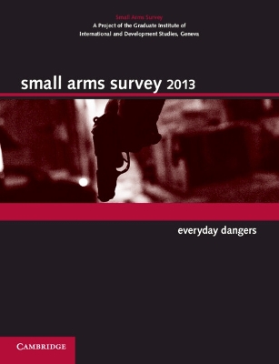 Small Arms Survey 2013 book