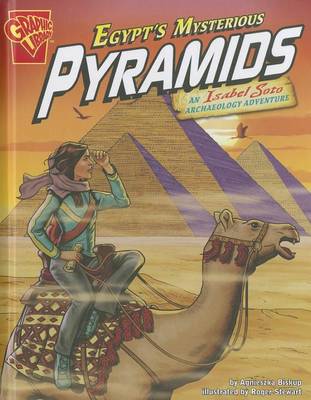 Egypt's Mysterious Pyramids book