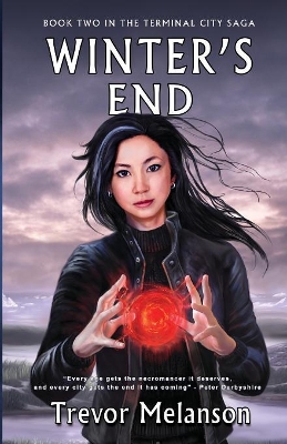 Winter's End book