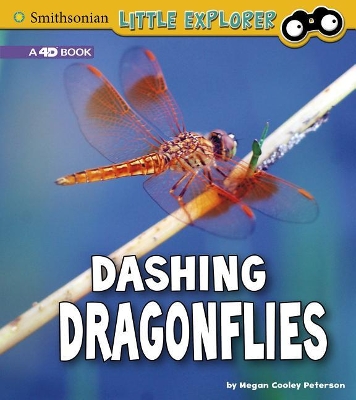Dashing Dragonflies: A 4D Book: A 4D Book book