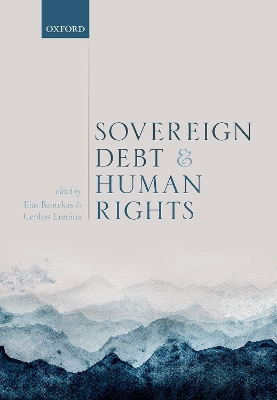 Sovereign Debt and Human Rights book