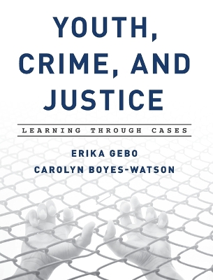 Youth, Crime, and Justice book