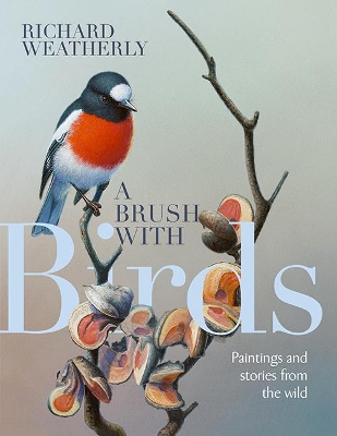 A Brush with Birds: Paintings and Stories from the Wild book