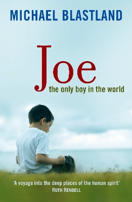 The Joe by Michael Blastland